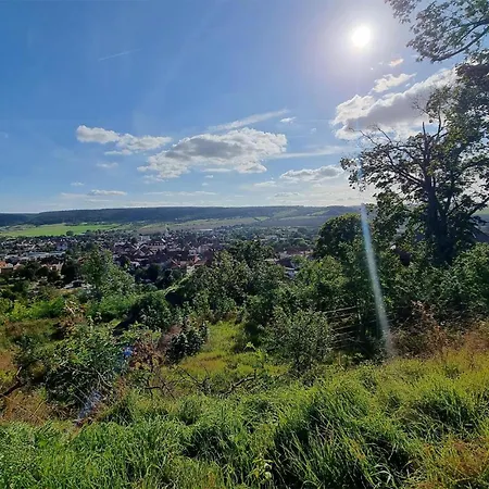 C Zeiss Ph Kamin Appartement