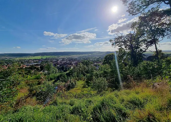 C Zeiss Ph Kamin アパート