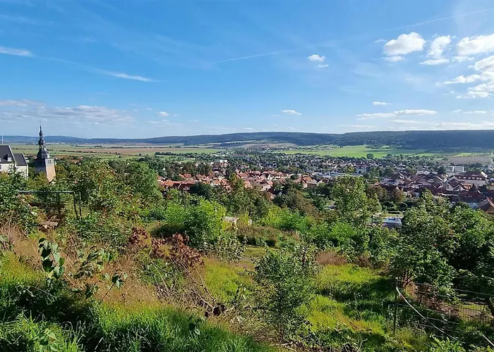 アパート C Zeiss Ph Kamin バート・フランケンハウゼン